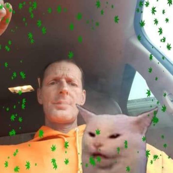 Meet your Posher, Joey - Picture 1 of 1